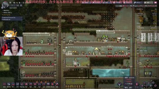 缺氧啦缺氧啦~12点后自走棋 2019-05-12 19点场