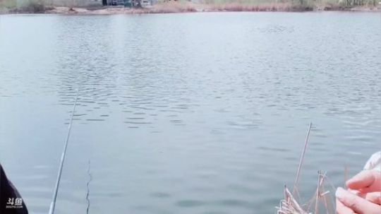 新手上路，钓鱼走起，求大神指点。 2019-05-14 11点场