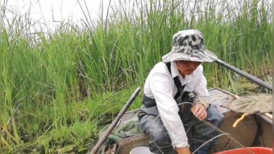 龙马精神之神笔马龙发布了一个斗鱼视频2019-05-15