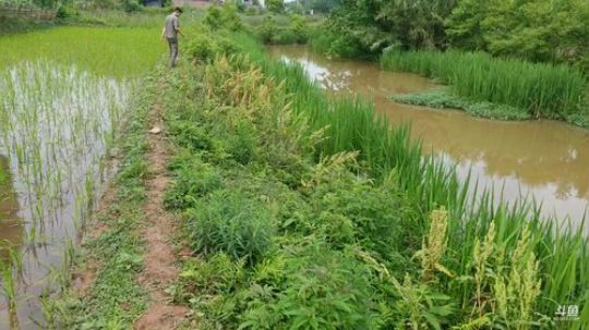 哆啦爱梦梦发布了一个斗鱼视频2019-05-15