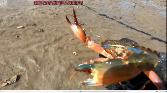 liyunanhj发布了一个斗鱼视频2019-05-15