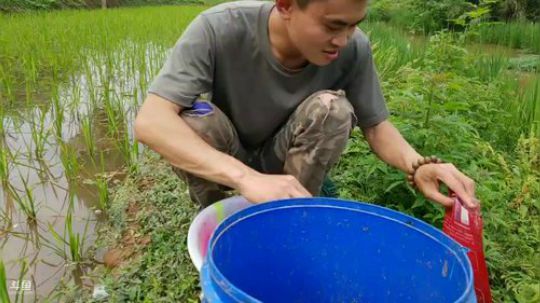 哆啦爱梦梦发布了一个斗鱼视频2019-05-15