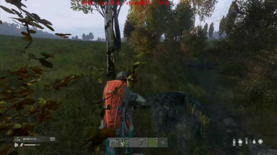 dayz0.13 2019-05-15 20点场