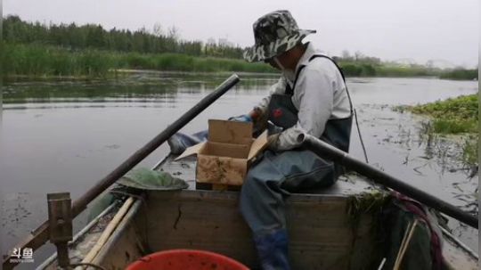 哆啦爱梦梦发布了一个斗鱼视频2019-05-16