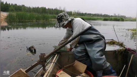 哆啦爱梦梦发布了一个斗鱼视频2019-05-16