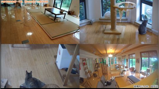 HHHISHHH发布了一个斗鱼视频2019-05-15