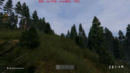 dayz0.13 2019-05-15 22点场