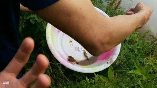 哆啦爱梦梦发布了一个斗鱼视频2019-05-17