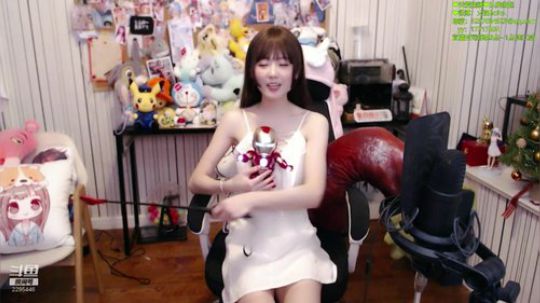 内有恶犬，汪汪汪