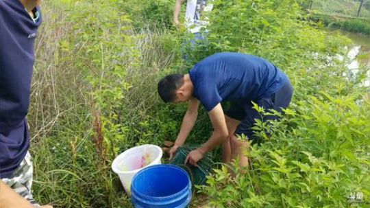 哆啦爱梦梦发布了一个斗鱼视频2019-05-17