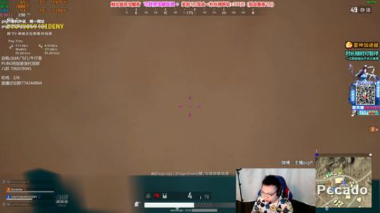 我在斗鱼看pigff直播绝地求生