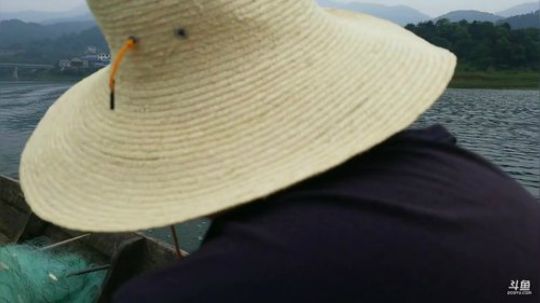 水库地笼捡丛菌。 2019-05-18 10点场