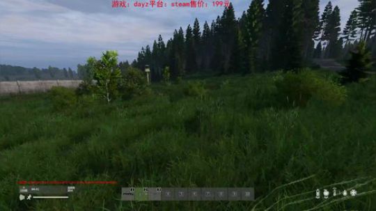 dayz dayz dayz 2019-05-18 14点场