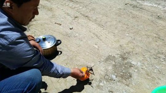 哆啦爱梦梦发布了一个斗鱼视频2019-05-18