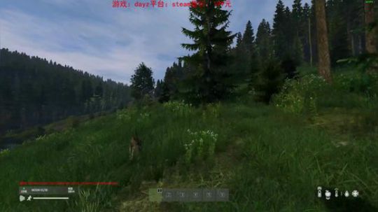 dayz dayz dayz 2019-05-18 16点场