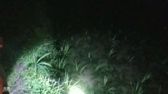 晚上抓龙虾牛蛙啦。 2019-05-18 19点场