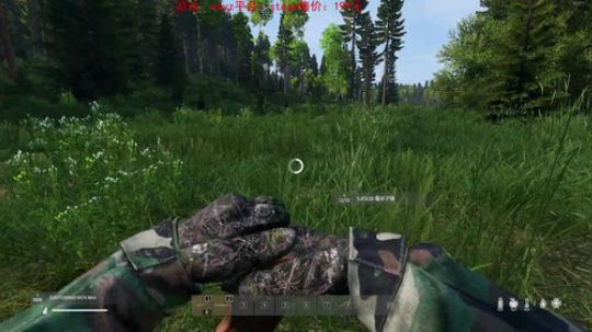 dayz 更新官方中文 2019-05-17 21点场