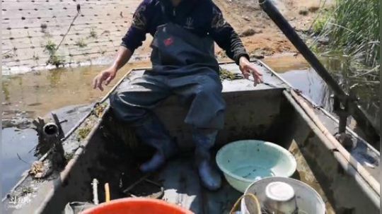 科头溜子发布了一个斗鱼视频2019-05-19