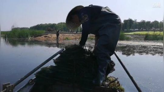 丿Good丶发布了一个斗鱼视频2019-05-19