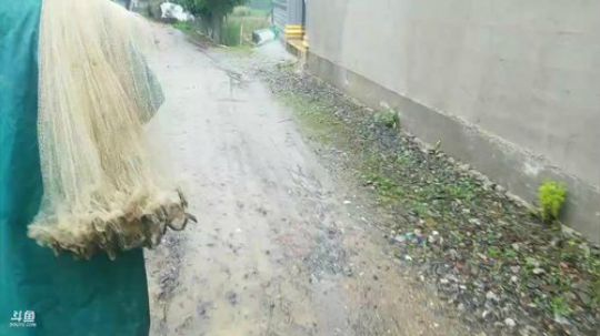 涨水钓鳜鱼。 2019-05-19 12点场