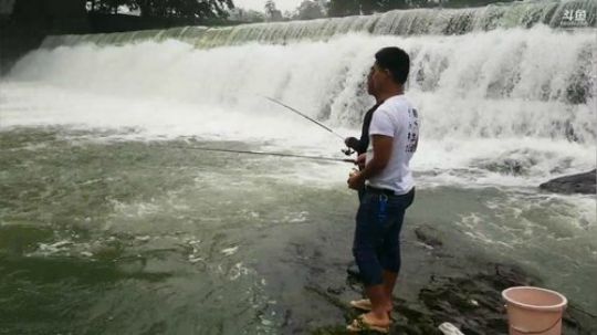 涨水钓鳜鱼。 2019-05-19 10点场