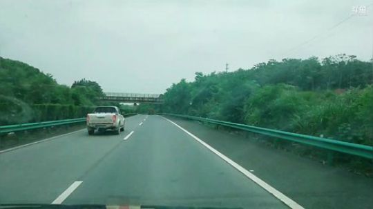 大圆塘结束，继续鲁湖爆护 2019-05-20 09点场