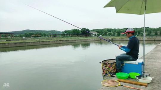 大圆塘结束，继续鲁湖爆护 2019-05-20 15点场