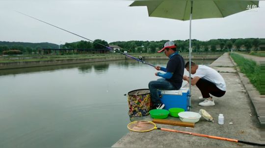 大圆塘结束，继续鲁湖爆护 2019-05-20 15点场