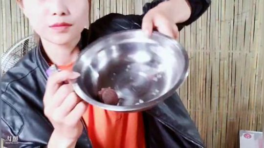 姑：《鉴星风云》经商第三天 2019-05-19 13点场