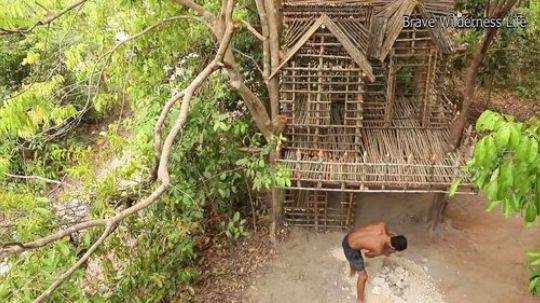 【躺尸兄弟】丛林开发商之8