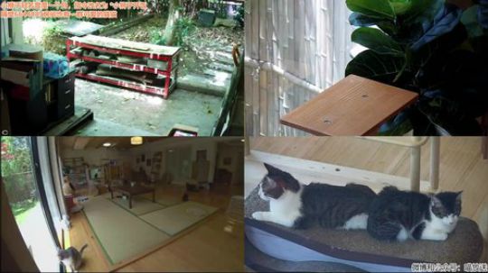 HHHISHHH发布了一个斗鱼视频2019-05-20