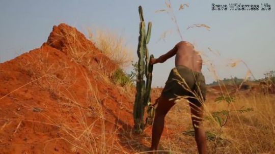 【躺尸兄弟】丛林开发商之10