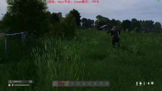 dayz dayz dayz 2019-05-20 17点场
