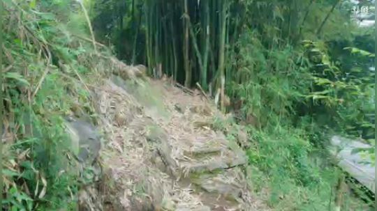 徒搭武汉嘉年华、化缘的一天 2019-05-21 13点场