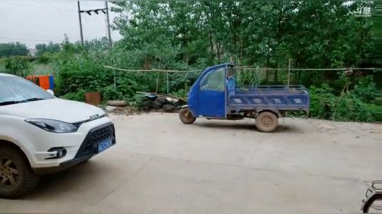 出发收地笼（鱼获爆炸） 2019-05-21 10点场