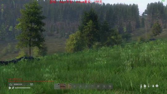 dayz dayz dayz 2019-05-20 23点场