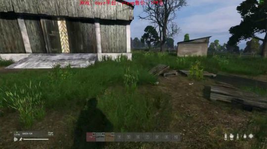 dayz dayz dayz 2019-05-21 19点场