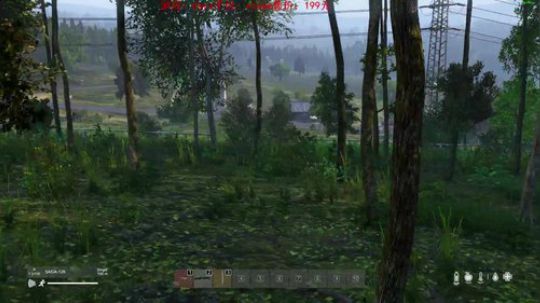 dayz dayz dayz 2019-05-21 17点场