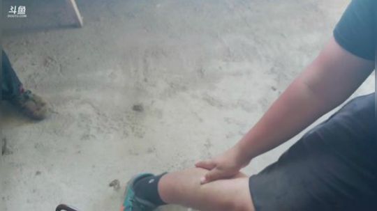 徒搭武汉嘉年华、 2019-05-22 15点场