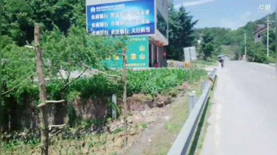 徒搭武汉嘉年华、 2019-05-22 13点场