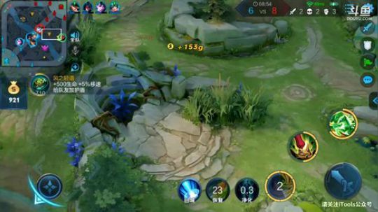 我在斗鱼看林蒙m直播王者荣耀