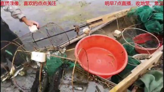 哆啦爱梦梦发布了一个斗鱼视频2019-05-23