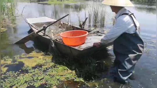 科头溜子发布了一个斗鱼视频2019-05-23