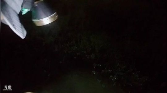 闹闹可遇不可求发布了一个斗鱼视频2019-05-23