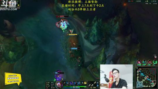我在斗鱼看智勋勋勋勋直播英雄联盟