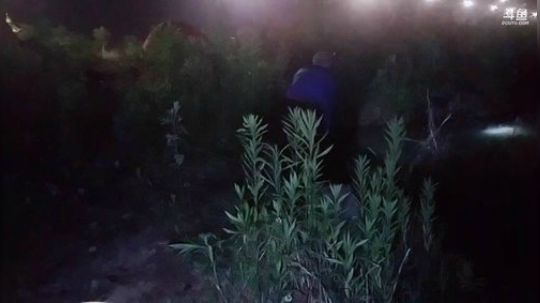 闹闹可遇不可求发布了一个斗鱼视频2019-05-23