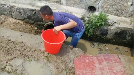 收地笼扣黄鳝。 2019-05-24 11点场