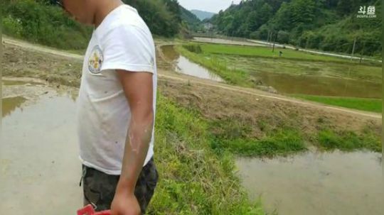 收地笼扣黄鳝。 2019-05-24 15点场