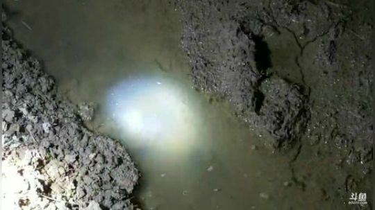 晚上抓牛蛙。 2019-05-24 20点场