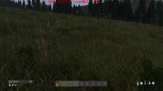dayz dayz dayz 2019-05-23 17点场